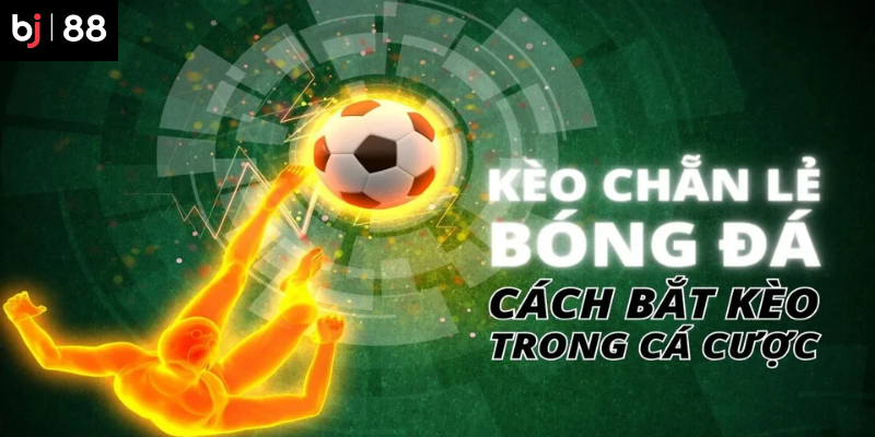 Kèo Chẵn Lẻ: Chiến Thuật Cược Chẵn Lẻ Bóng Đá Hiệu Quả 4 Theo dõi và điều chỉnh chiến thuật