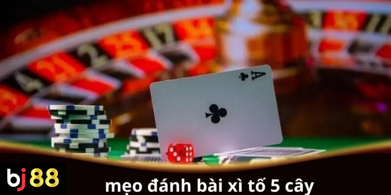 Mẹo Đánh Bài Xì Tố 5 Cây Hiệu Quả: Cách Tối Ưu Cơ Hội Thắng 2 Mẹo đánh bài Xì Tố 5 cây hiệu quả