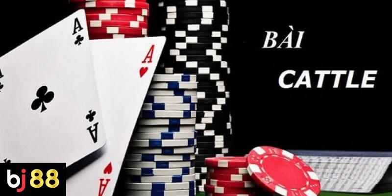 Cách Chơi Bài Catte Tại BJ88: Quy Tắc Và Mẹo Thắng 4 Những Lưu Ý Khi Chơi Bài Catte Trên BJ88