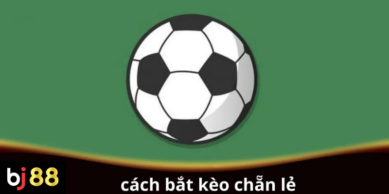 Cách Bắt Kèo Chẵn Lẻ Cho Người Chơi: Chiến Thuật Hiệu Quả 2 Cách bắt kèo chẵn lẻ cho người chơi mới